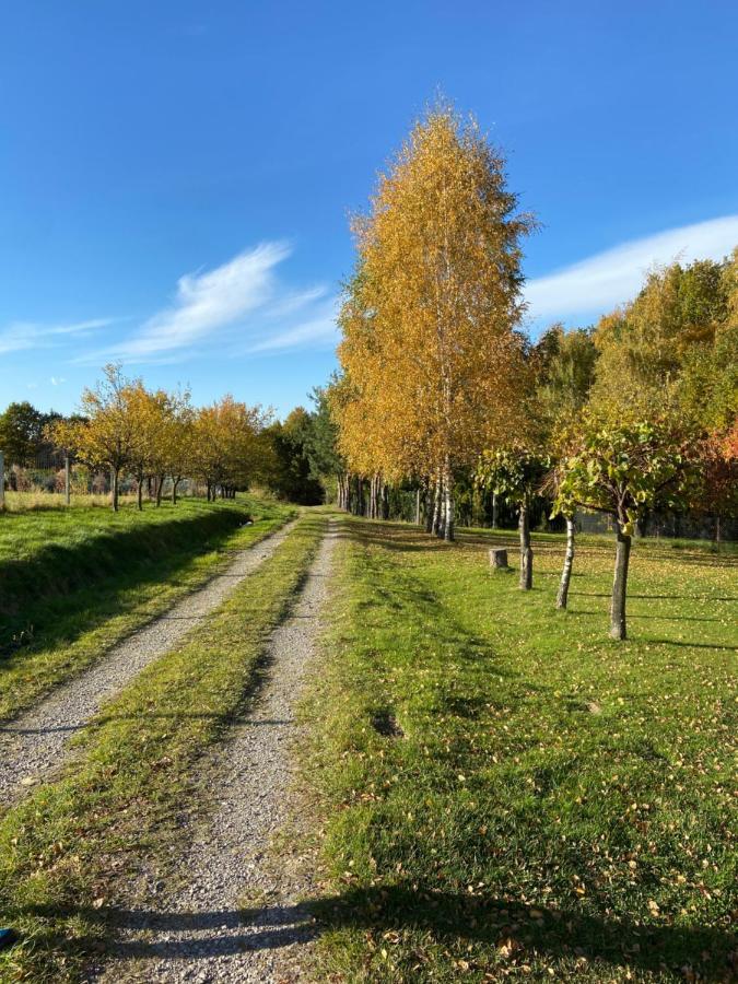 Szmaragdowy Domek Nowy Wisnicz Esterno foto